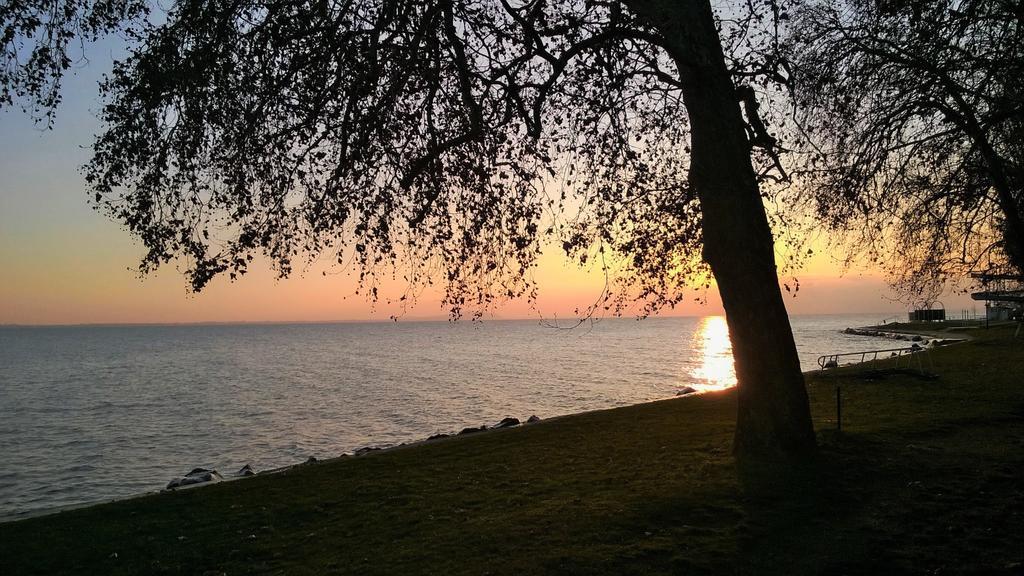 Aqua Apartman Révfülöp Oda fotoğraf